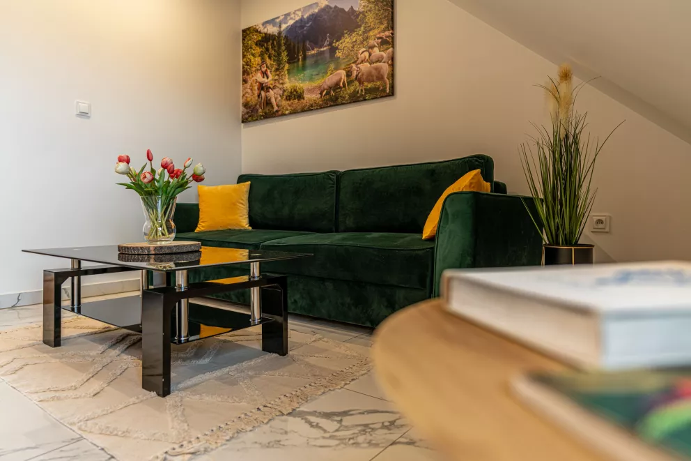 Apartament Widokowy
