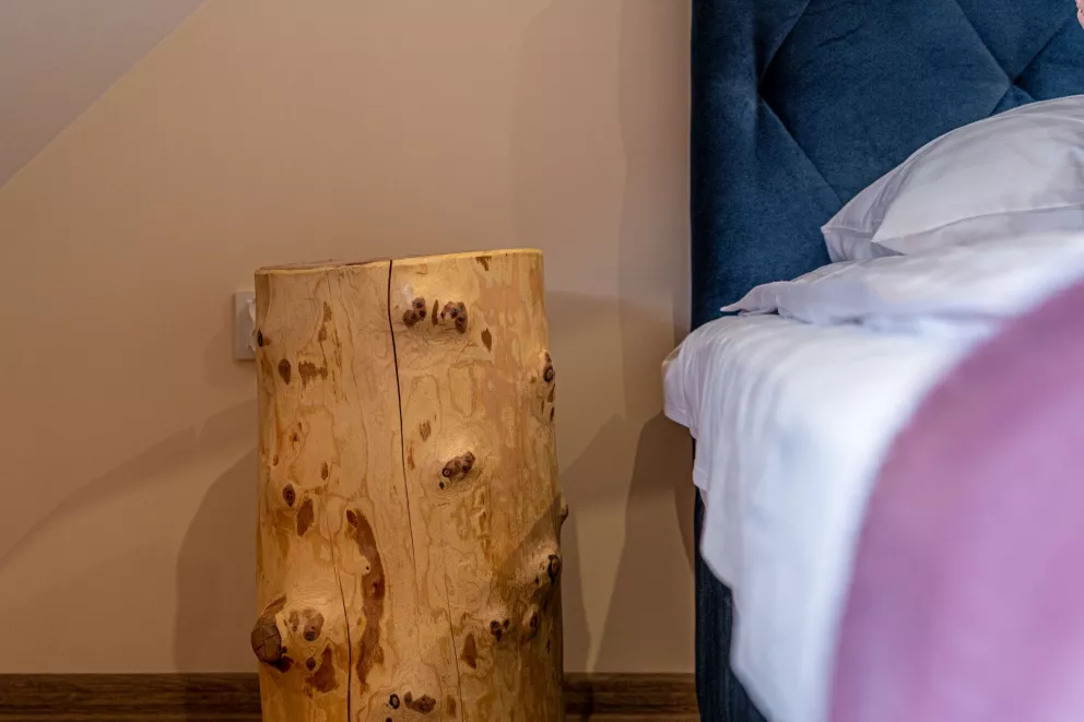 Apartament Widokowy