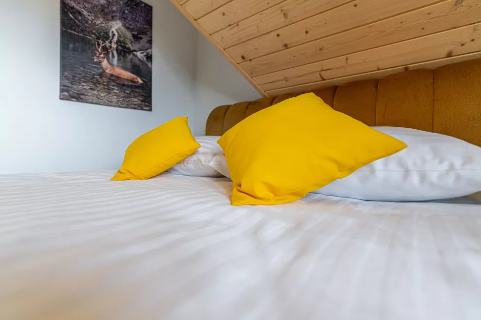 Apartament Widokowy