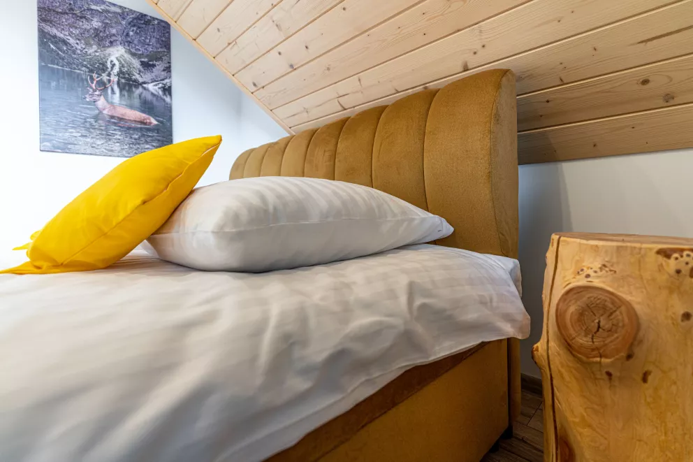 Apartament Widokowy